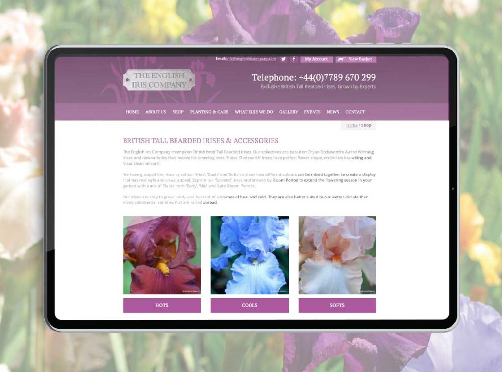 Our work english iris company ecommerce website 2