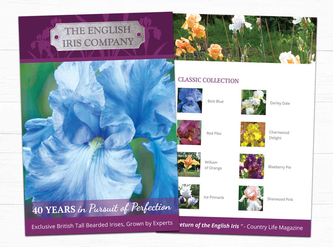Our work english iris company ecommerce website 2